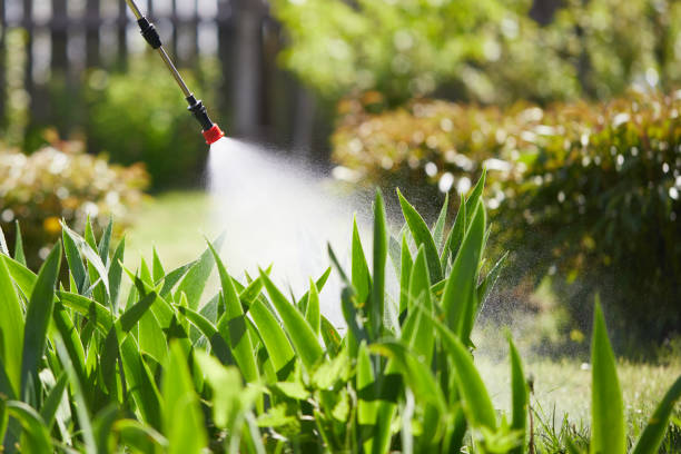 24/7 Emergency Ant Control experts in Haskell, OK