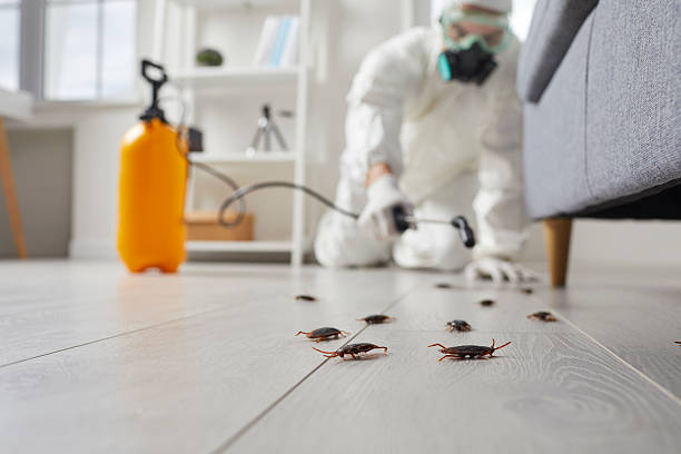 Affordable Ant Control solutions in Haskell, OK